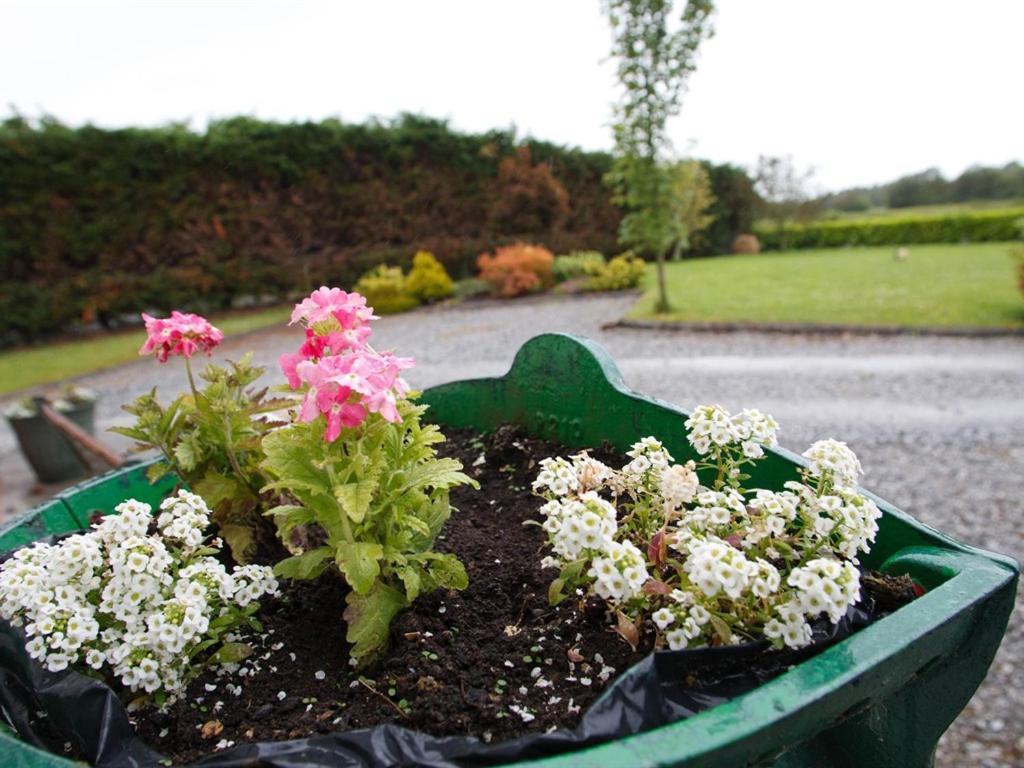 Dun Cromain B&B Banagher Kültér fotó